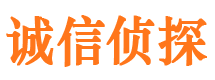 宏伟市私家侦探